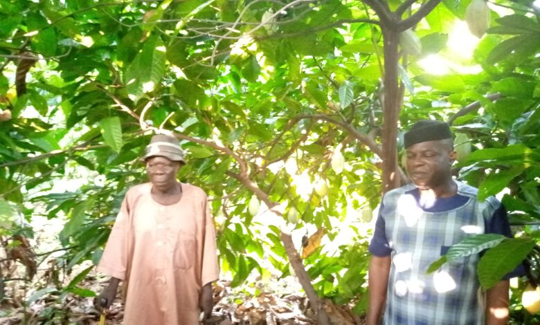 Ayade, okufa