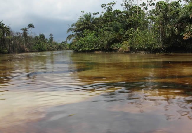 Bayelsa oil