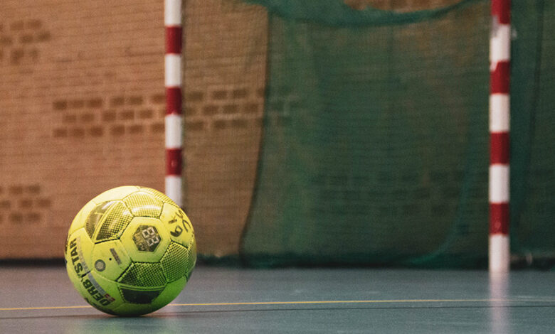 Handball Premier League