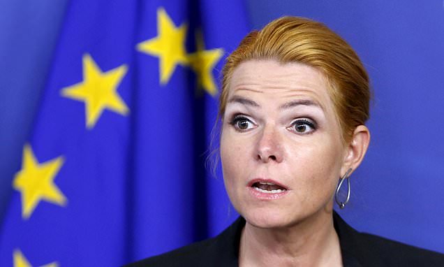 Denmark’s former immigration minister