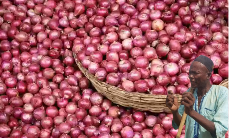 onion farming