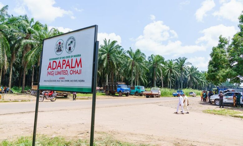 Adapalm