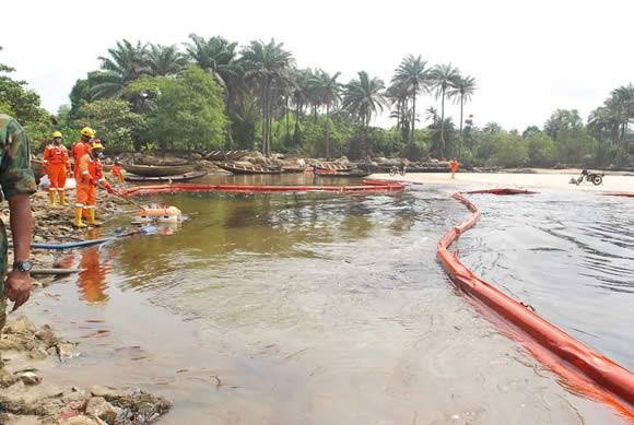 Ogoni clean-up project