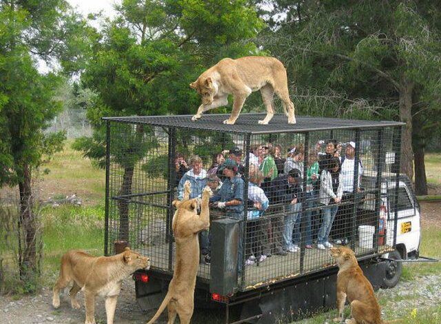 Okomu National Park