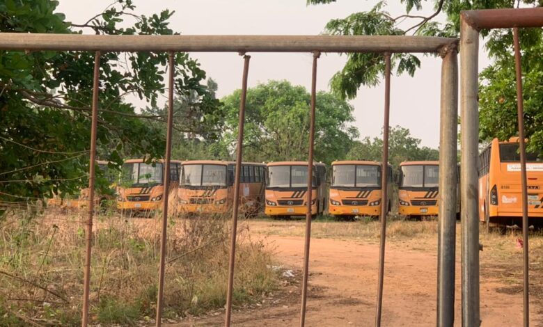 abandoned Buses
