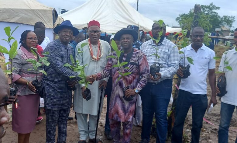 Firm promises to boost value of cocoa production in Nigeria