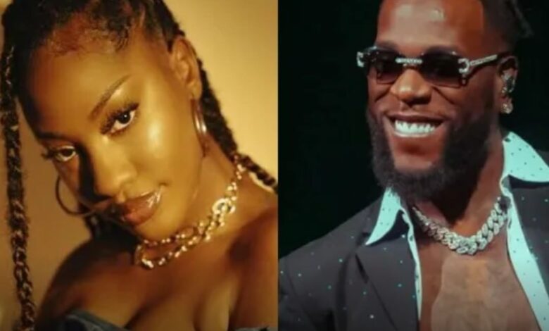 tems,burna boy