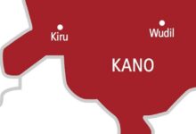 kano