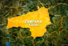 Massive turnout heralds supplementary polls in Zamfara