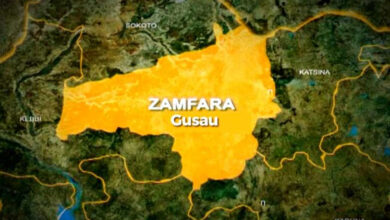 Massive turnout heralds supplementary polls in Zamfara