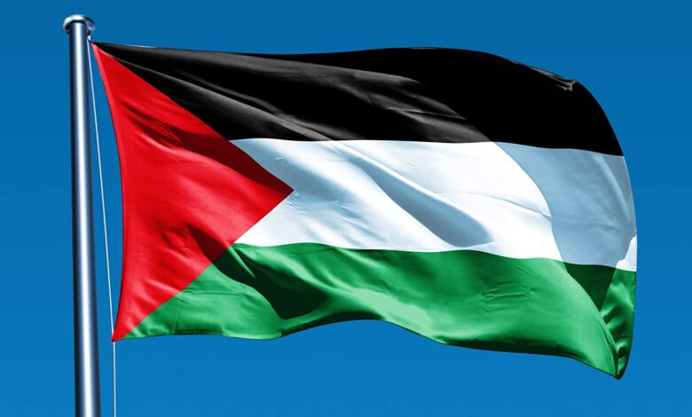 Palestinian woman killed after stabbing Israeli man