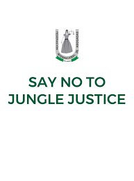 Justice or revenge? Nigeria’s growing jungle justice menace 1