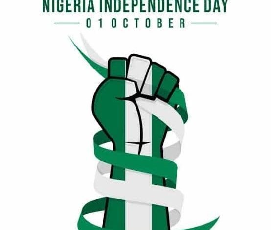 Nigeria @ 66: Young innovators call for shift to innovation-driven economy 1